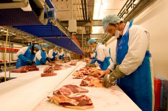 meat production room